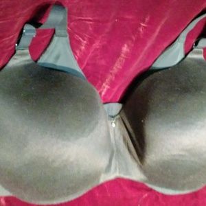 Size 40H Bra